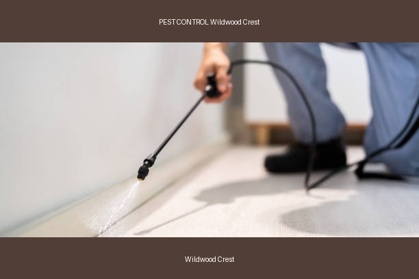 PEST CONTROL Wildwood Crest